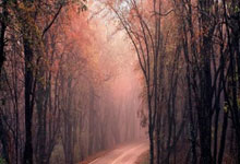 切尔西vs热刺首发：帕尔默、杰克逊先发，孙兴慜、麦迪逊出战.