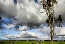 [图]世预赛-拜合拉木、张玉宁破门 国2-1印尼取首胜.