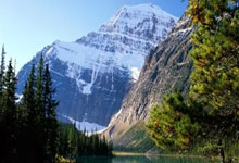 巅峰国际官网:看了周琦伤退后北汽末节的离谱崩盘,才发现,王博杨鸣到底有多强.