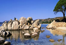 巅峰国际官网:马宁造争议!全场5黄1红1点+读秒吹掉国安单刀 球迷高喊:进监狱.